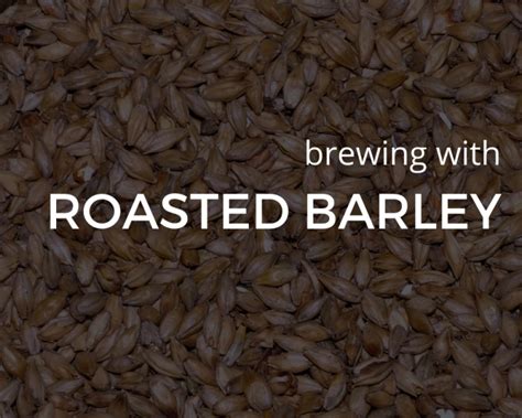 roasted barley vs chocolate malt